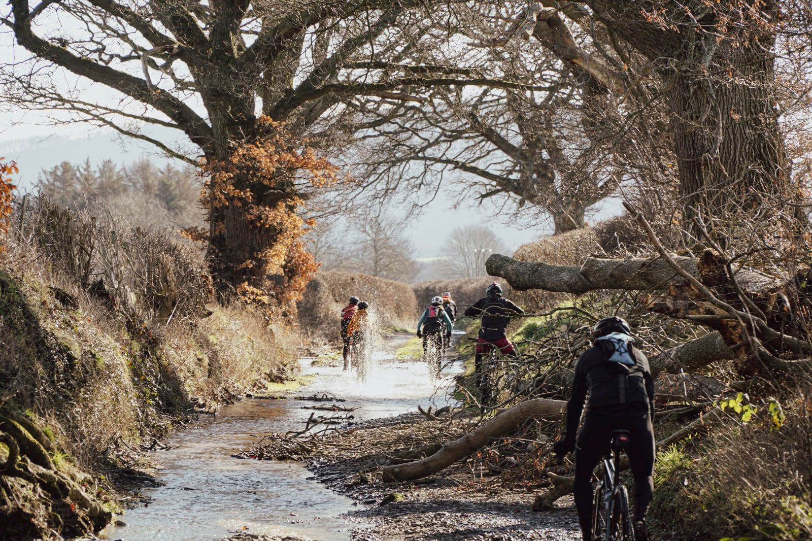 Beginner's Gravel Cycling: Essential Tips for Your Off-Road Adventures