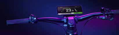 Dual Control Systems: Advanced E-Bike Control Technology