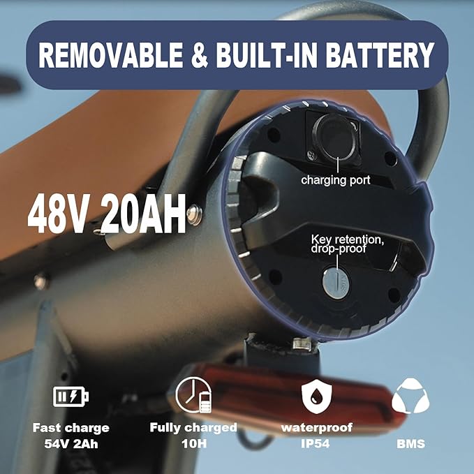 Battery(V50)