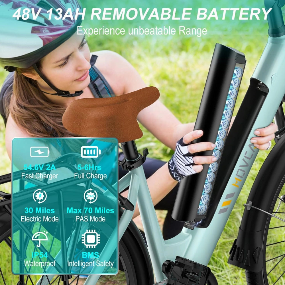 V80 Battery