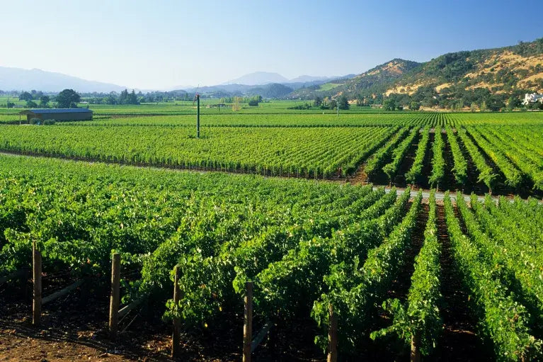 E-Bike Wine Country Tours - Napa, Sonoma & Beyond