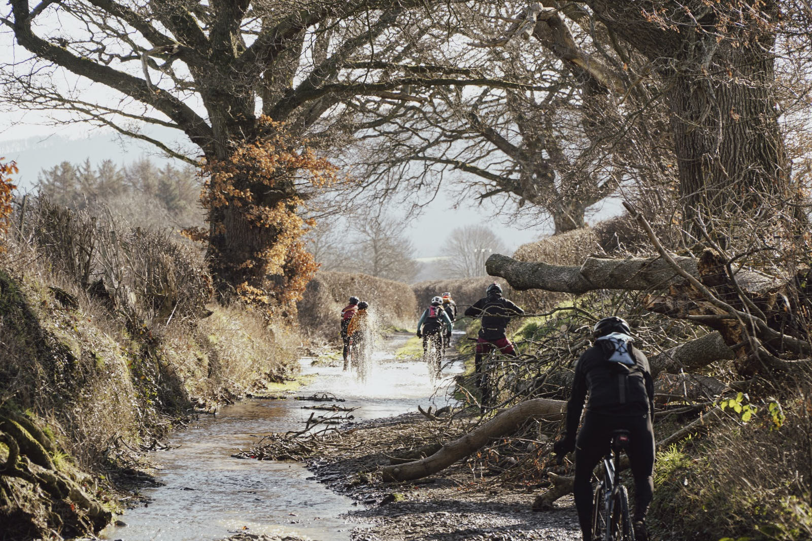 Beginner's Gravel Cycling: Essential Tips for Your Off-Road Adventures