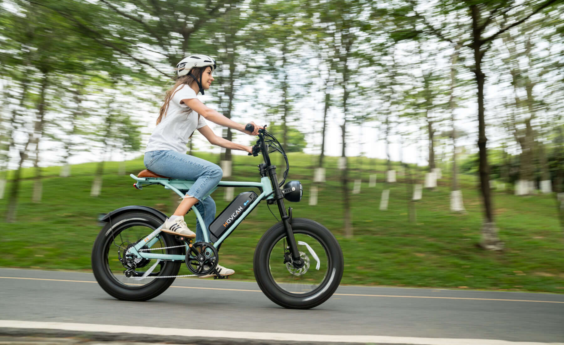 Cost-Effectiveness Analysis of Electric Bicycles at Different Price Points