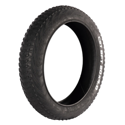 204 inch Electric Bicycle  Fat Tire