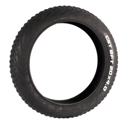 204 inch Electric Bicycle  Fat Tire