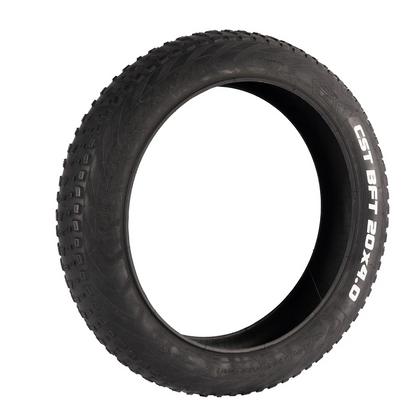 204 inch Electric Bicycle  Fat Tire