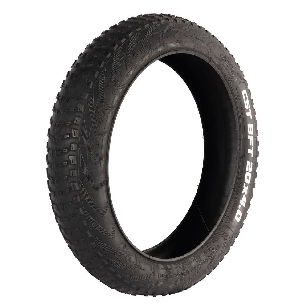 20 x 4  inch Fat Tire