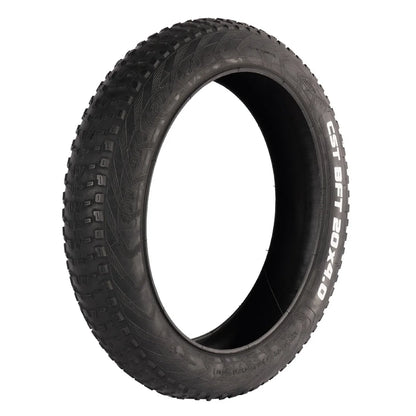 20 x 4  inch Fat Tire