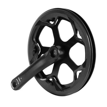 Left Crank and Chainring