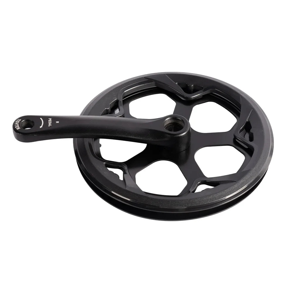 Left Crank and Chainring