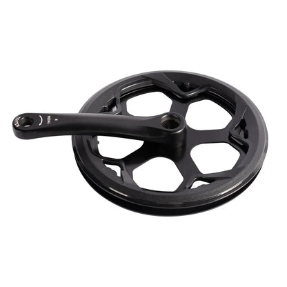 Left Crank and Chainring