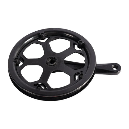 Left Crank and Chainring